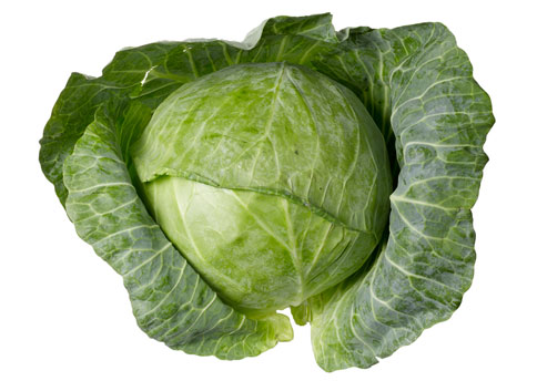 cabbage lord murugan